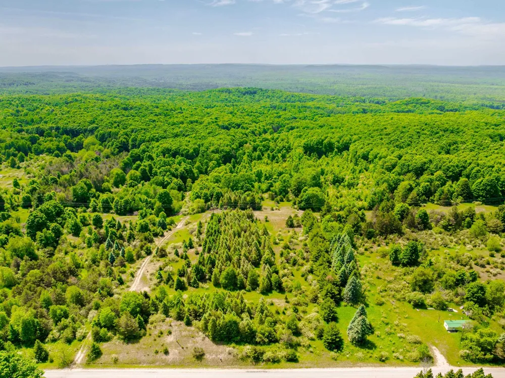 Traverse Road Colfax Township, MI 49683