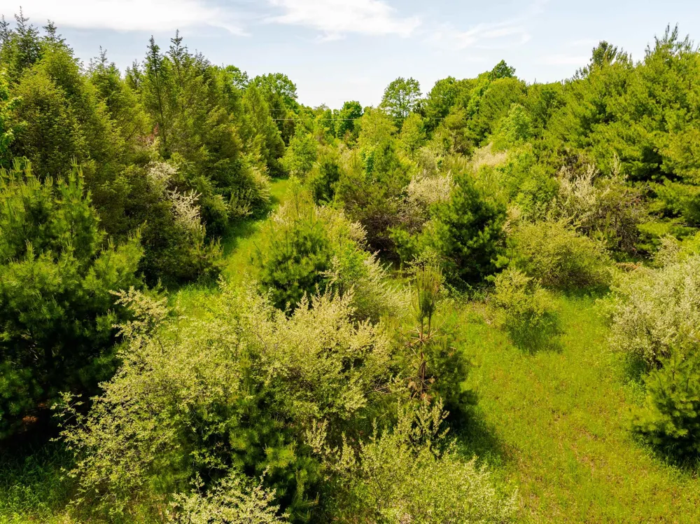 Traverse Road Colfax Township, MI 49683