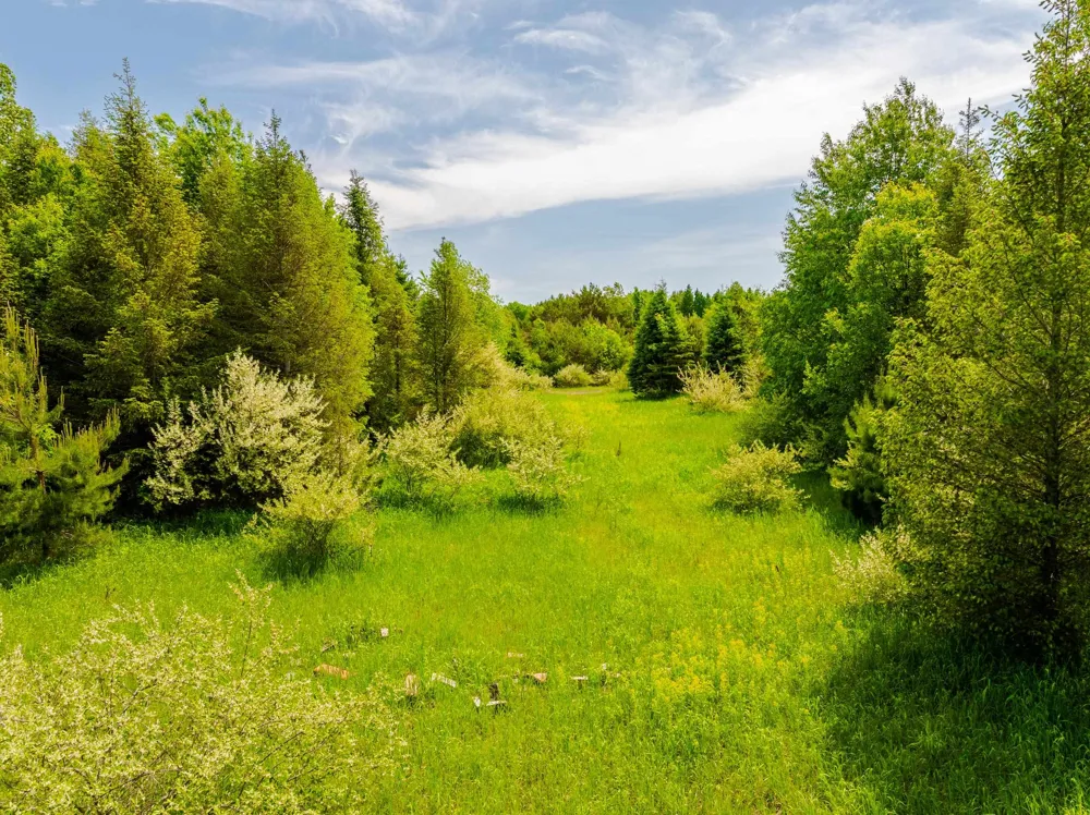 Traverse Road Colfax Township, MI 49683