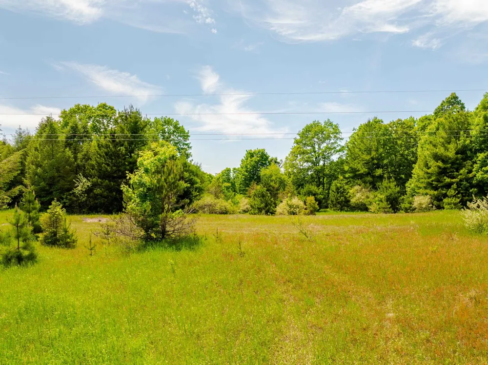 Traverse Road Colfax Township, MI 49683
