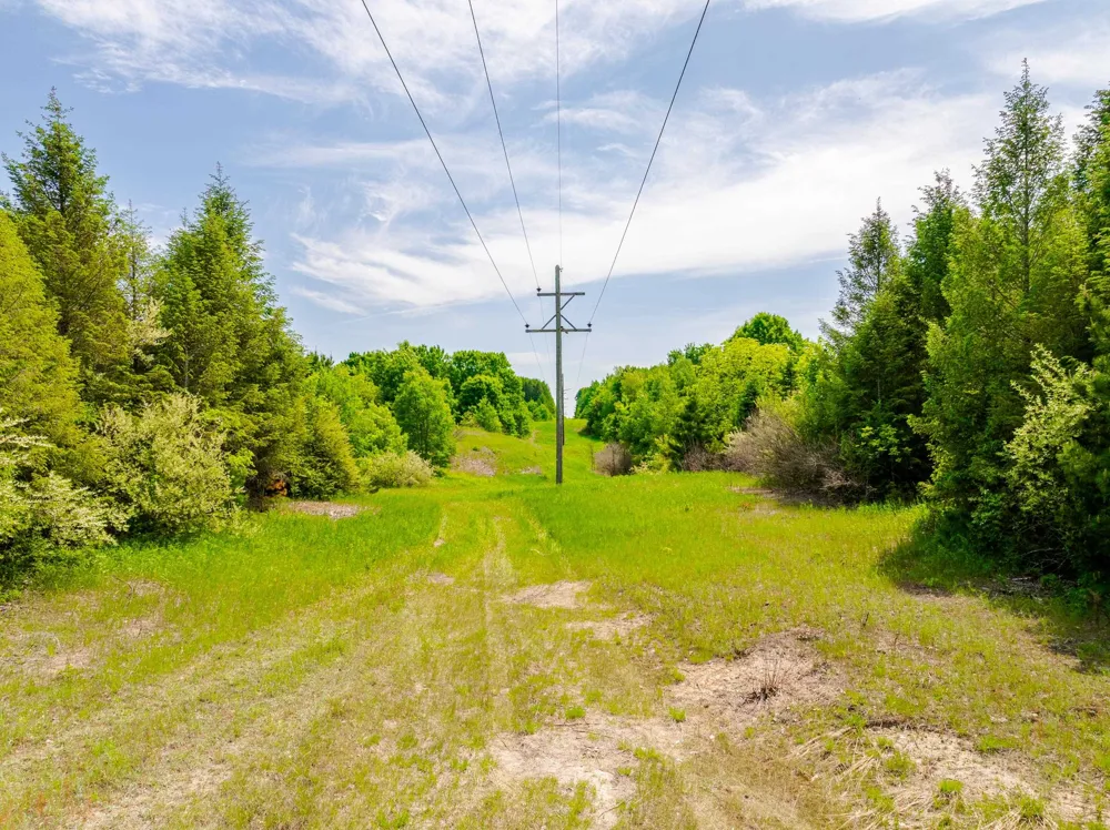 Traverse Road Colfax Township, MI 49683