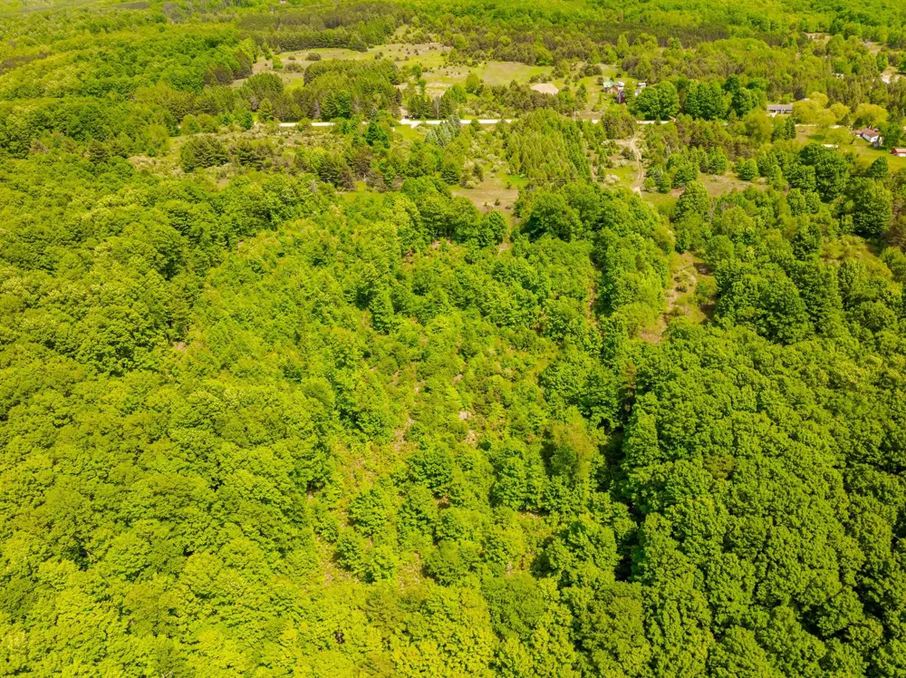 Traverse Road Colfax Township, MI 49683