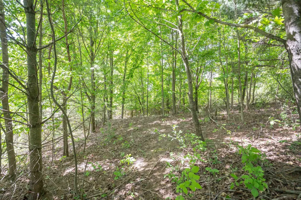 Traverse Road Colfax Township, MI 49683