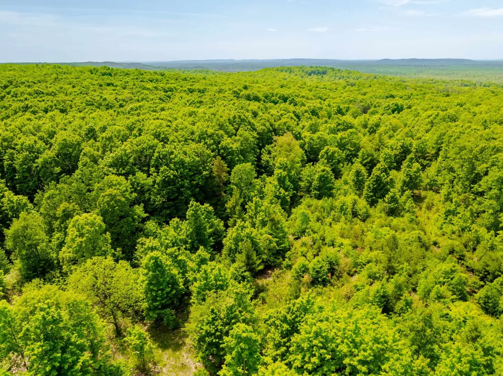 Traverse Road Colfax Township, MI 49683