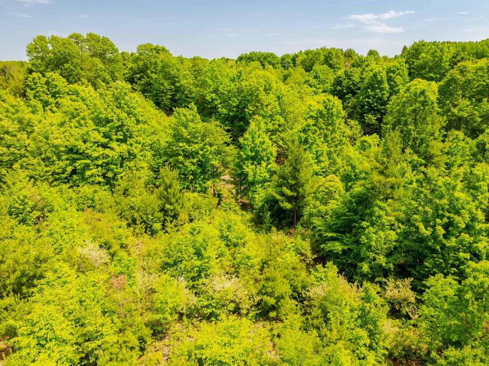 Traverse Road Colfax Township, MI 49683
