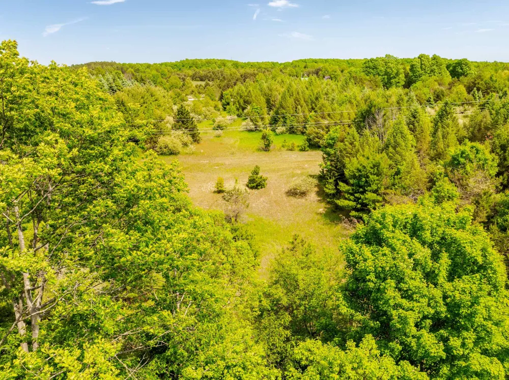 Traverse Road Colfax Township, MI 49683