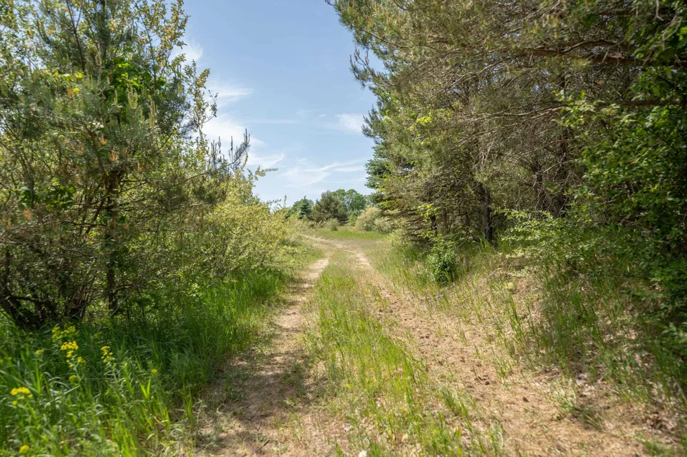 Traverse Road Colfax Township, MI 49683