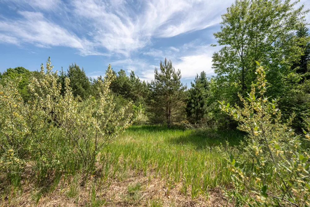 Traverse Road Colfax Township, MI 49683