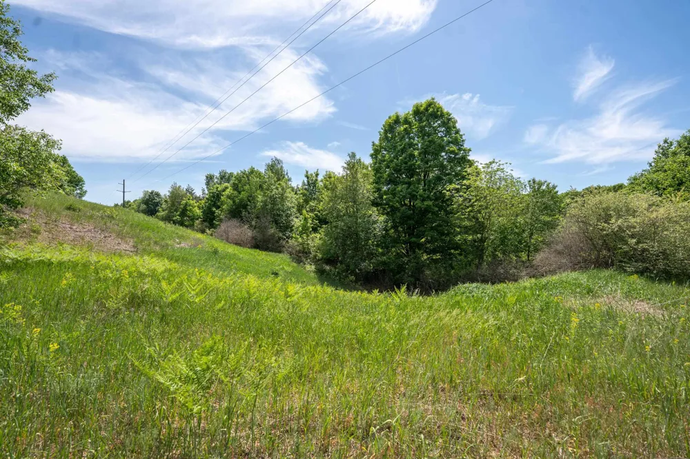 Traverse Road Colfax Township, MI 49683