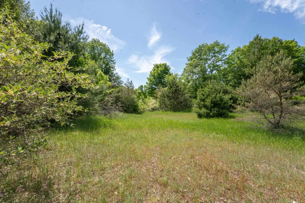 Traverse Road Colfax Township, MI 49683