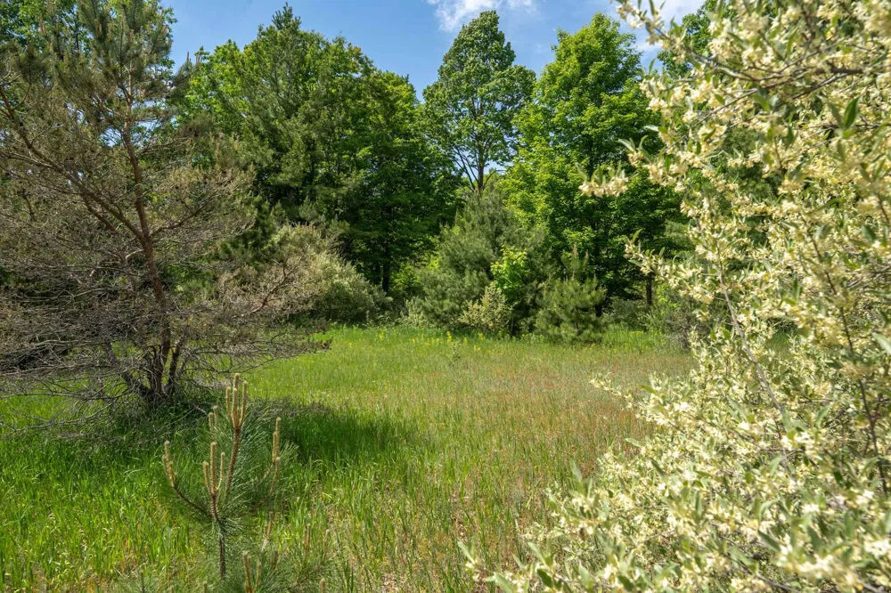 Traverse Road Colfax Township, MI 49683
