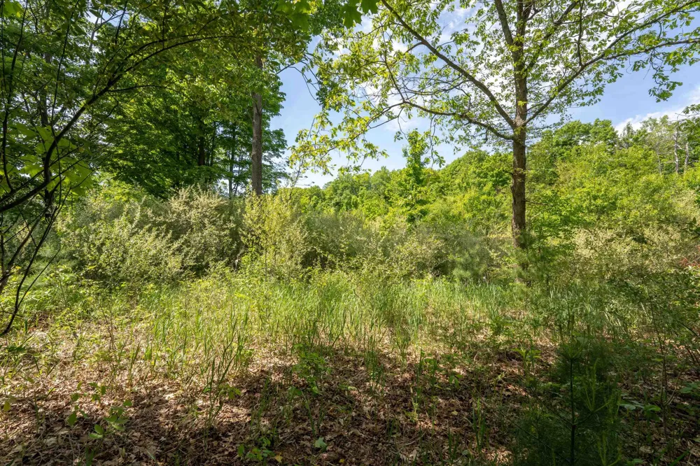 Traverse Road Colfax Township, MI 49683