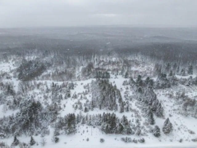 Traverse Road Colfax Township, MI 49683