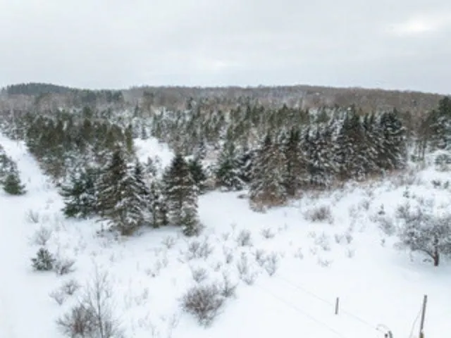 Traverse Road Colfax Township, MI 49683