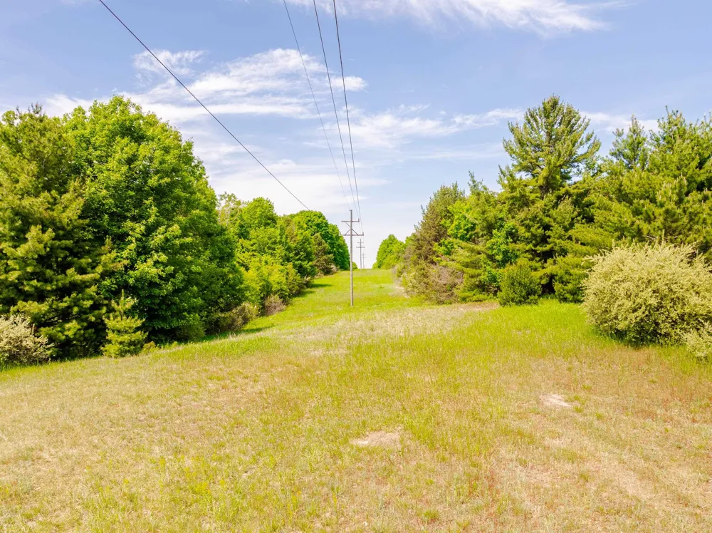 Traverse Road Colfax Township, MI 49683