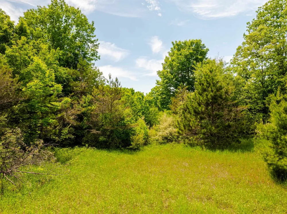 Traverse Road Colfax Township, MI 49683