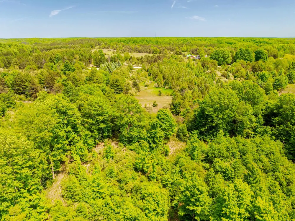 Traverse Road Colfax Township, MI 49683