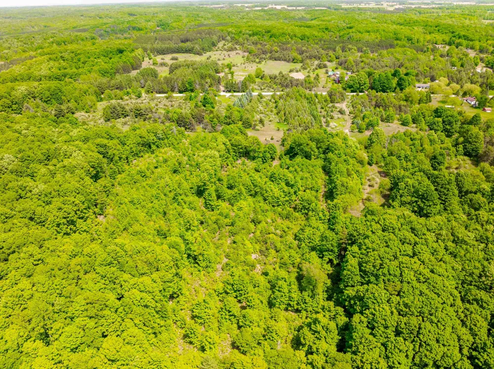 Traverse Road Colfax Township, MI 49683
