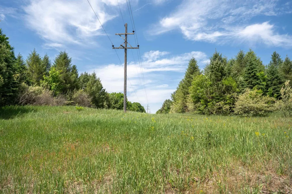 Traverse Road Colfax Township, MI 49683