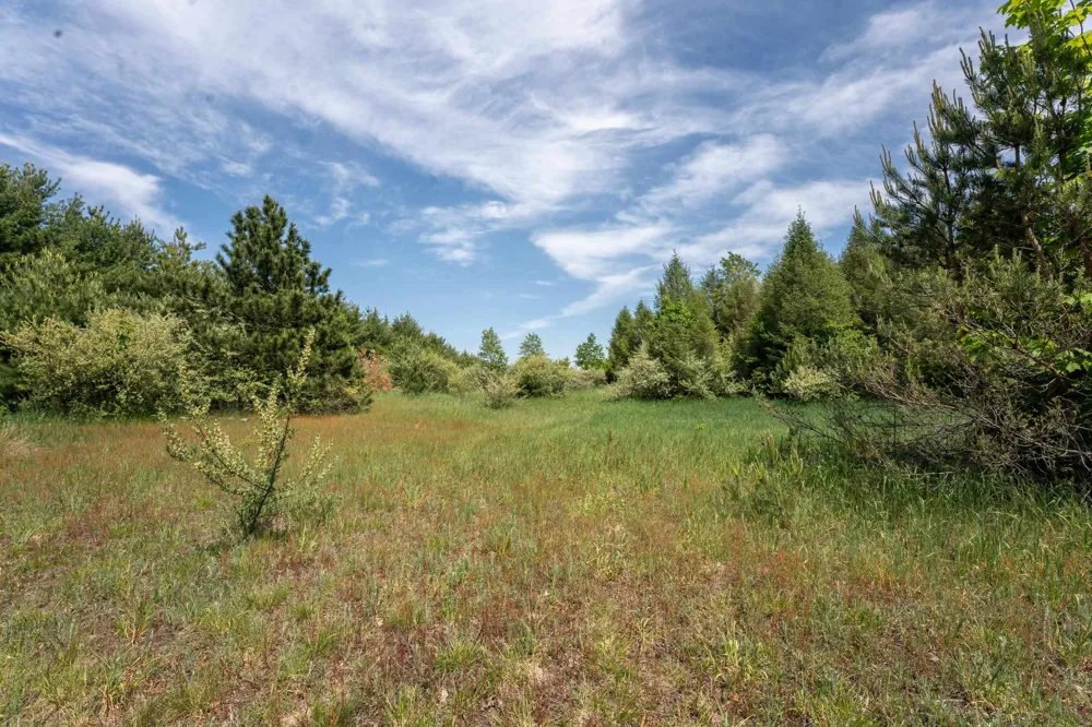 Traverse Road Colfax Township, MI 49683