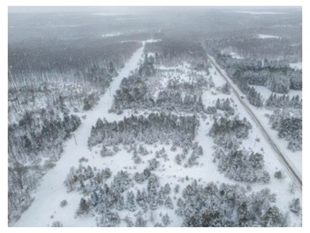 Traverse Road Colfax Township, MI 49683