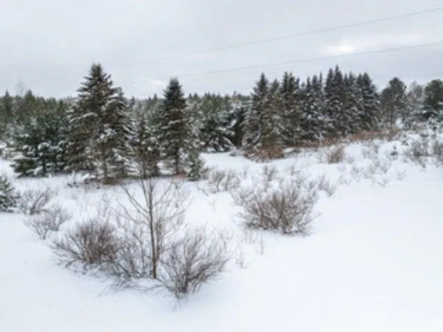 Traverse Road Colfax Township, MI 49683