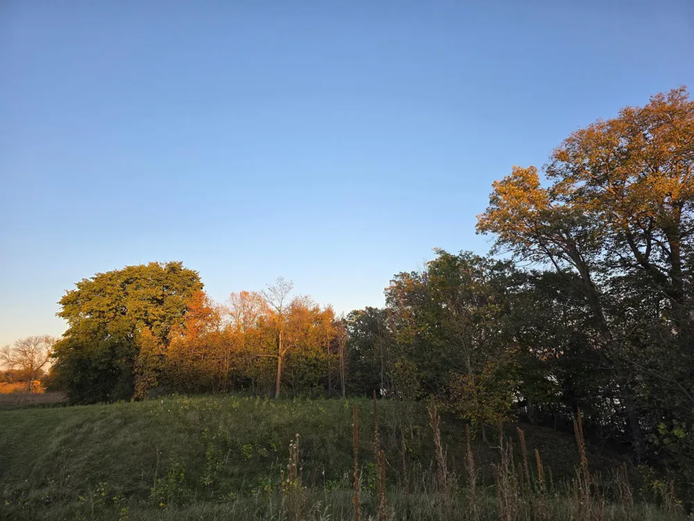 TBD Lot 5 317th St Underwood, MN 56586