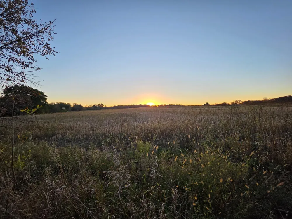 TBD Lot 4 317th St Underwood, MN 56586