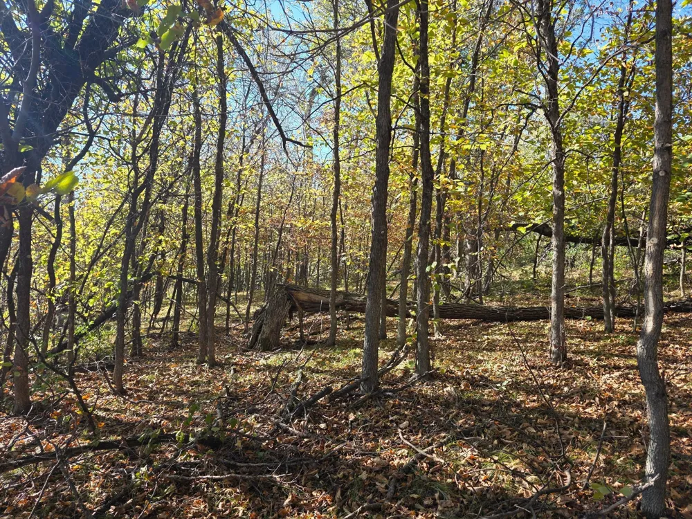 TBD Lot 4 317th St Underwood, MN 56586