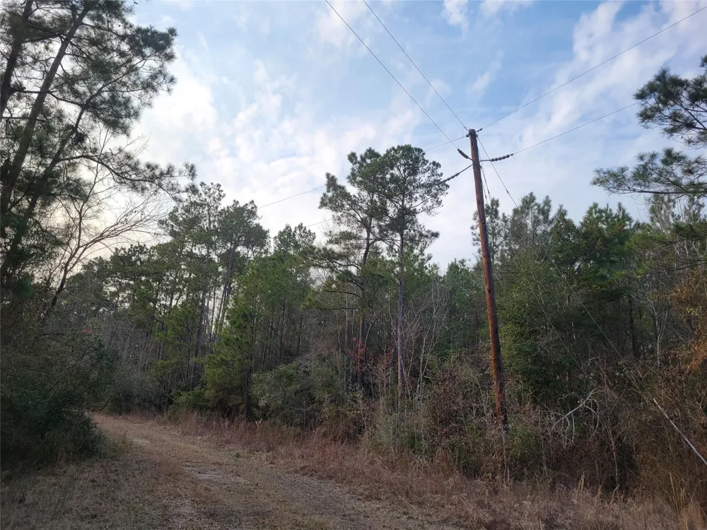 617 John Wesley Hardin Drive Corrigan, TX 75939