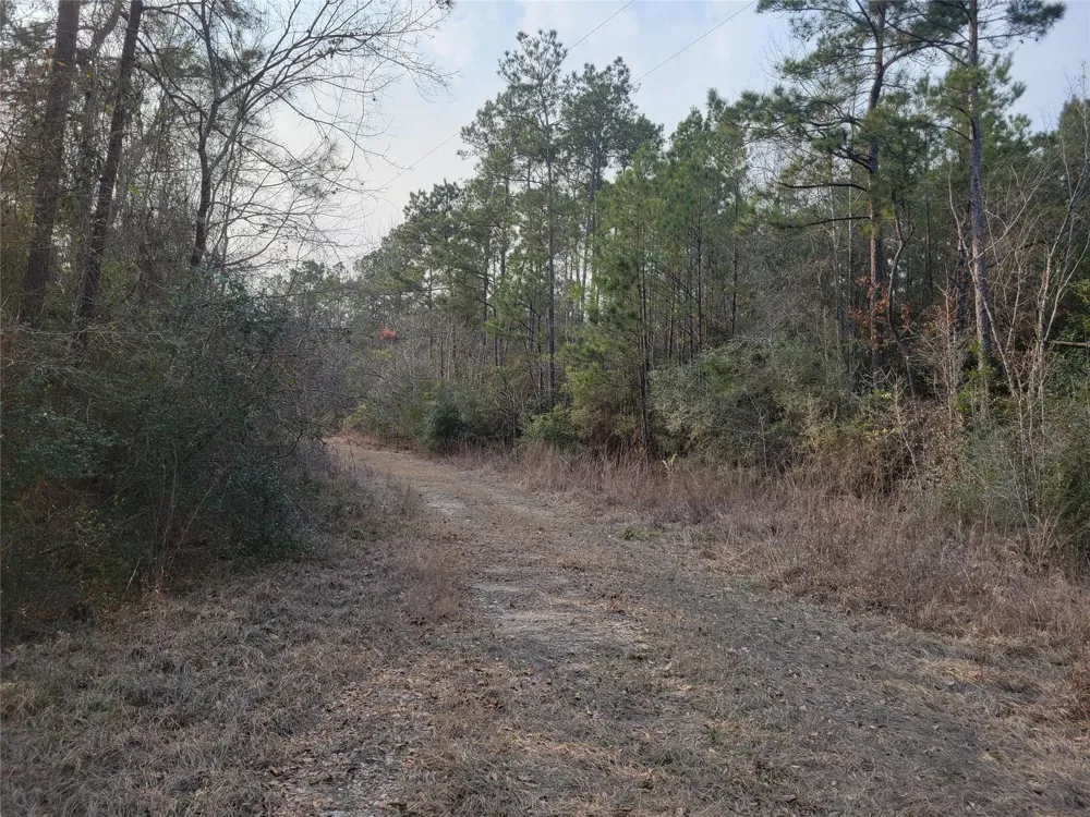 617 John Wesley Hardin Drive Corrigan, TX 75939