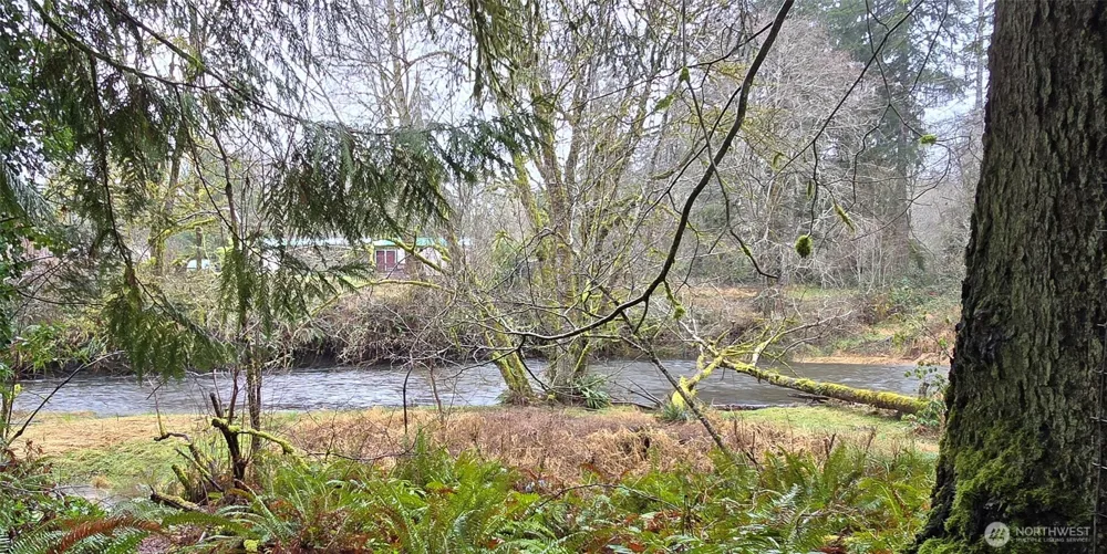 351 W Haven Drive Elma, WA 98541