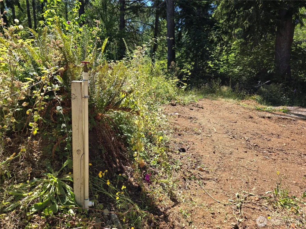 351 W Haven Drive Elma, WA 98541