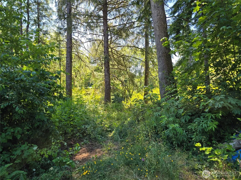 351 W Haven Drive Elma, WA 98541