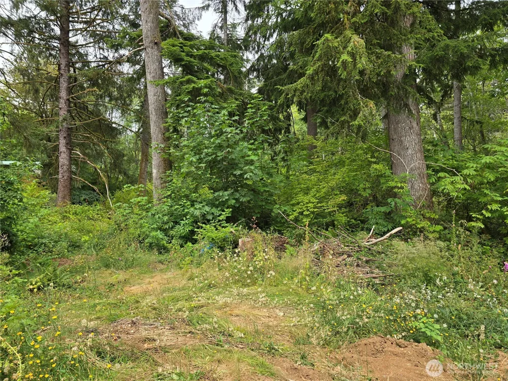 351 W Haven Drive Elma, WA 98541