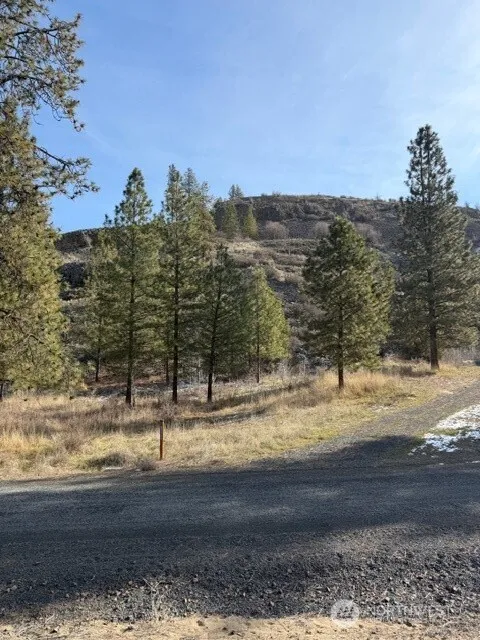 37855 Skyview Court Creston, WA 99147