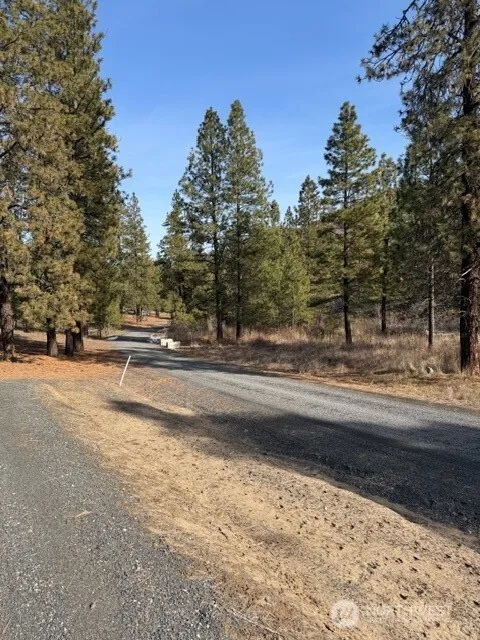 37855 Skyview Court Creston, WA 99147
