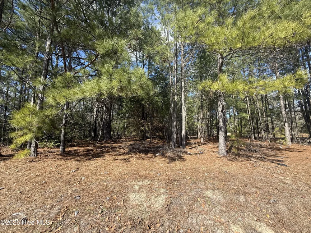 Tbd Mizpah Road Rockingham, NC 28379