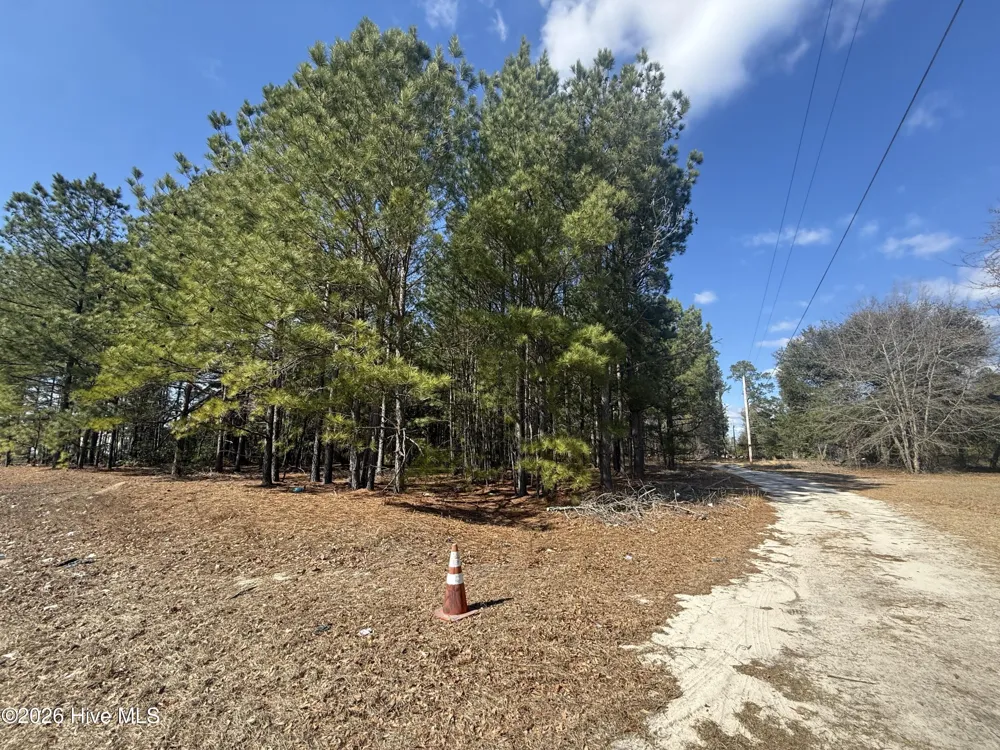 Tbd Mizpah Road Rockingham, NC 28379