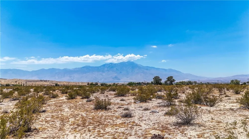 60 Dillon Road Sky Valley, CA 92241
