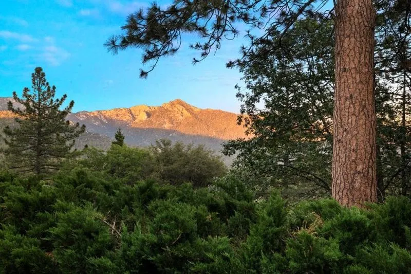 25630 Sunrise Drive Idyllwild, CA 92549