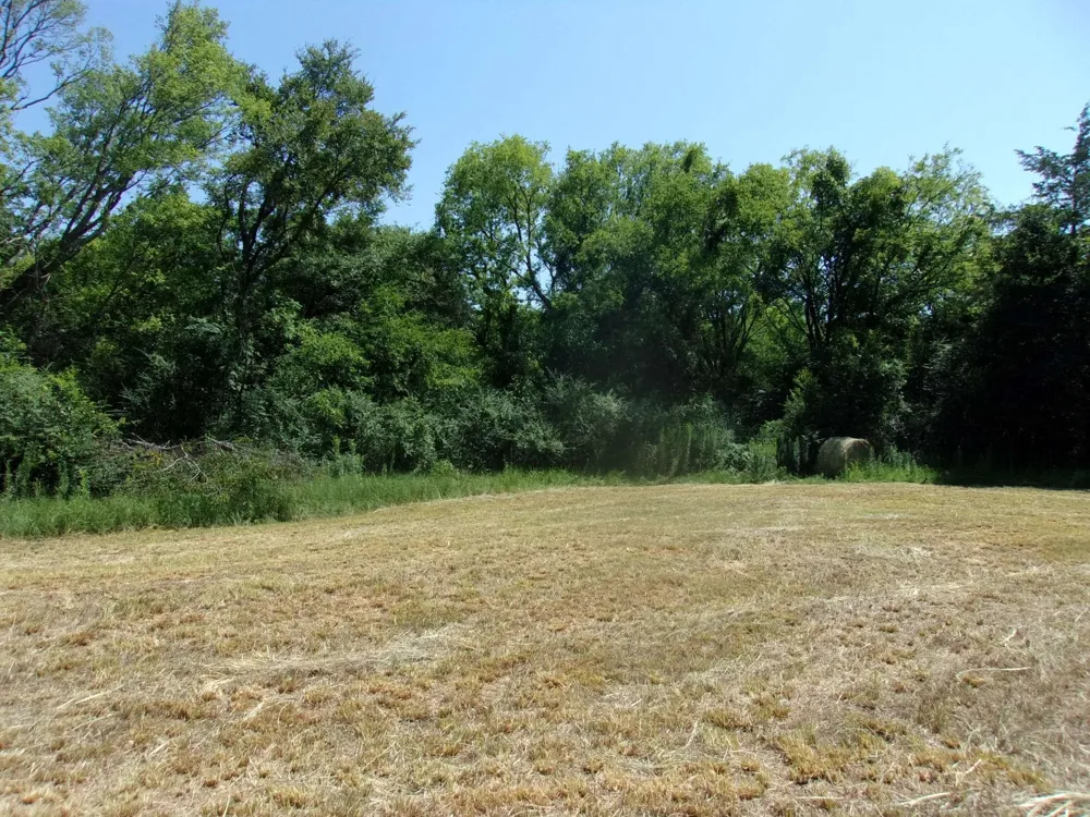 2846 County Road 2415 Pickton, TX 75471