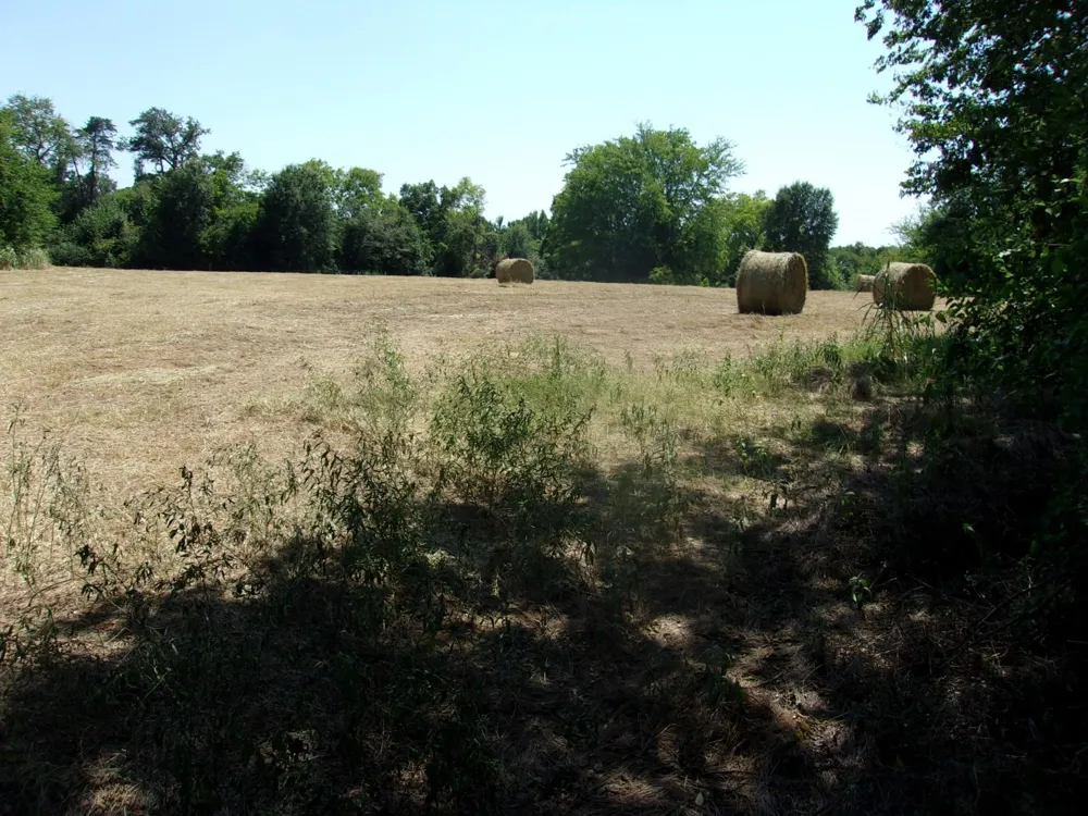 2846 County Road 2415 Pickton, TX 75471