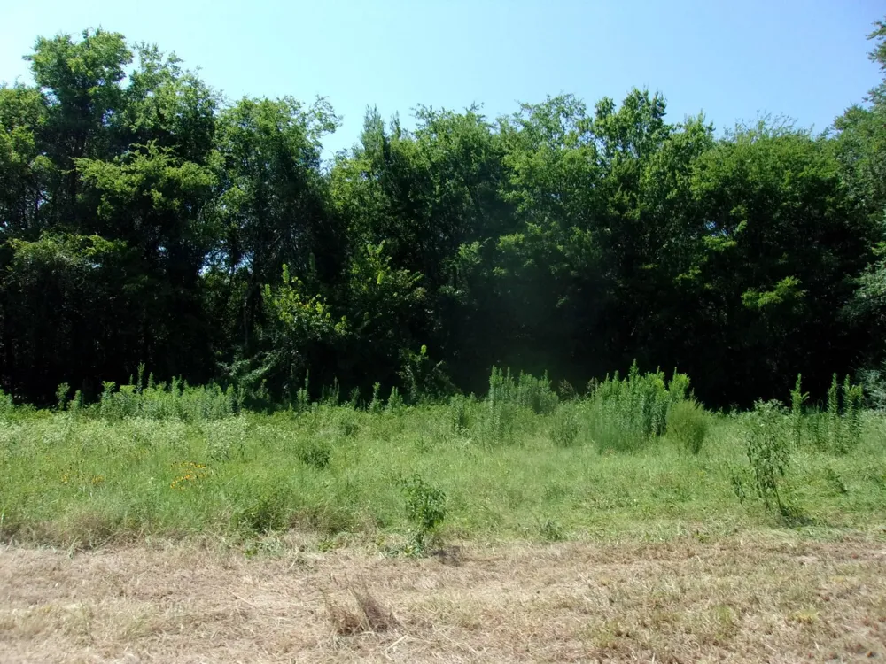 2846 County Road 2415 Pickton, TX 75471