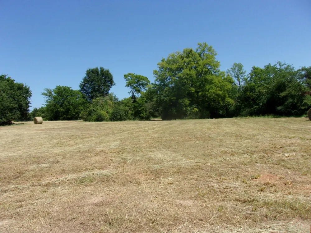 2846 County Road 2415 Pickton, TX 75471