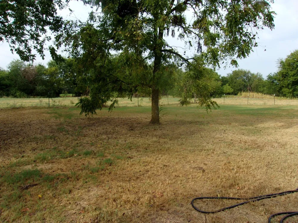 2846 County Road 2415 Pickton, TX 75471