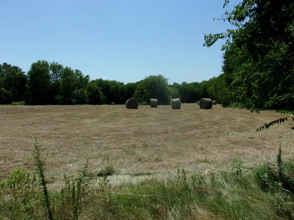 2846 County Road 2415 Pickton, TX 75471