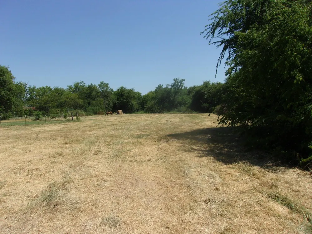 2846 County Road 2415 Pickton, TX 75471