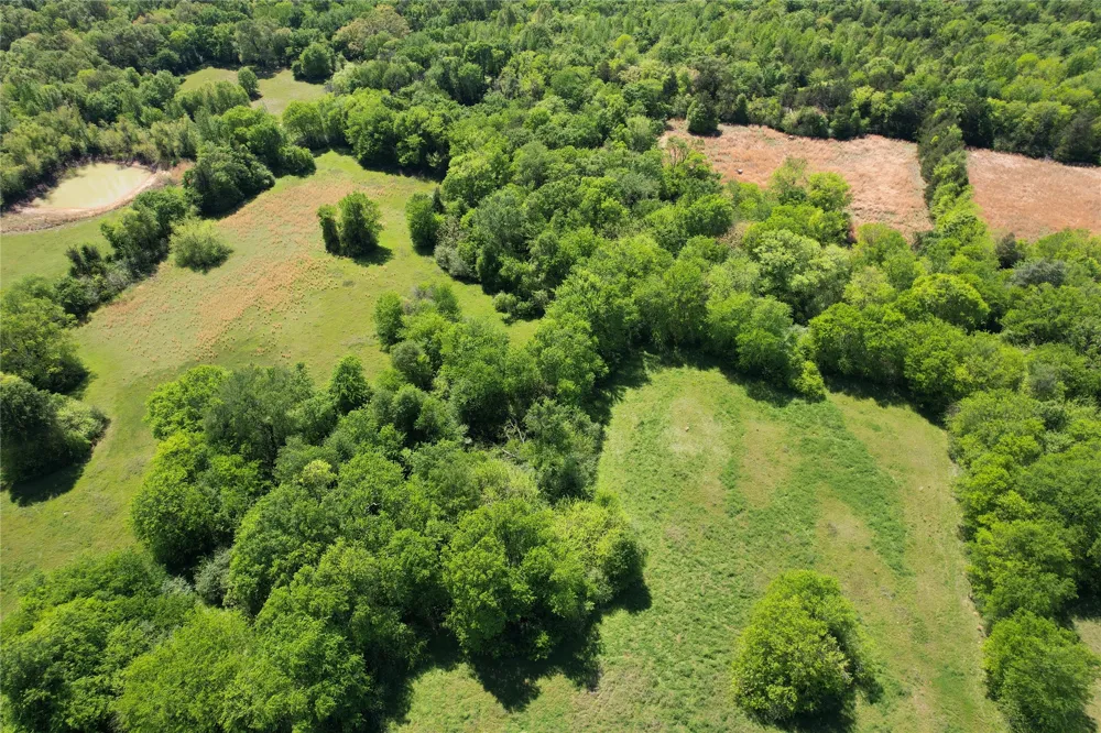 2846 County Road 2415 Pickton, TX 75471