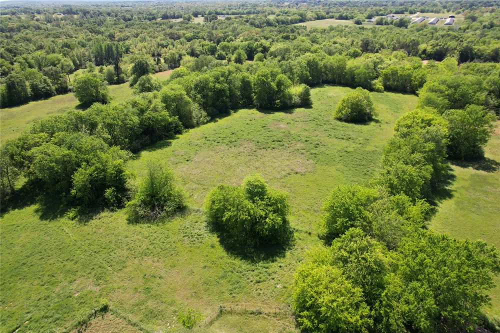 2846 County Road 2415 Pickton, TX 75471
